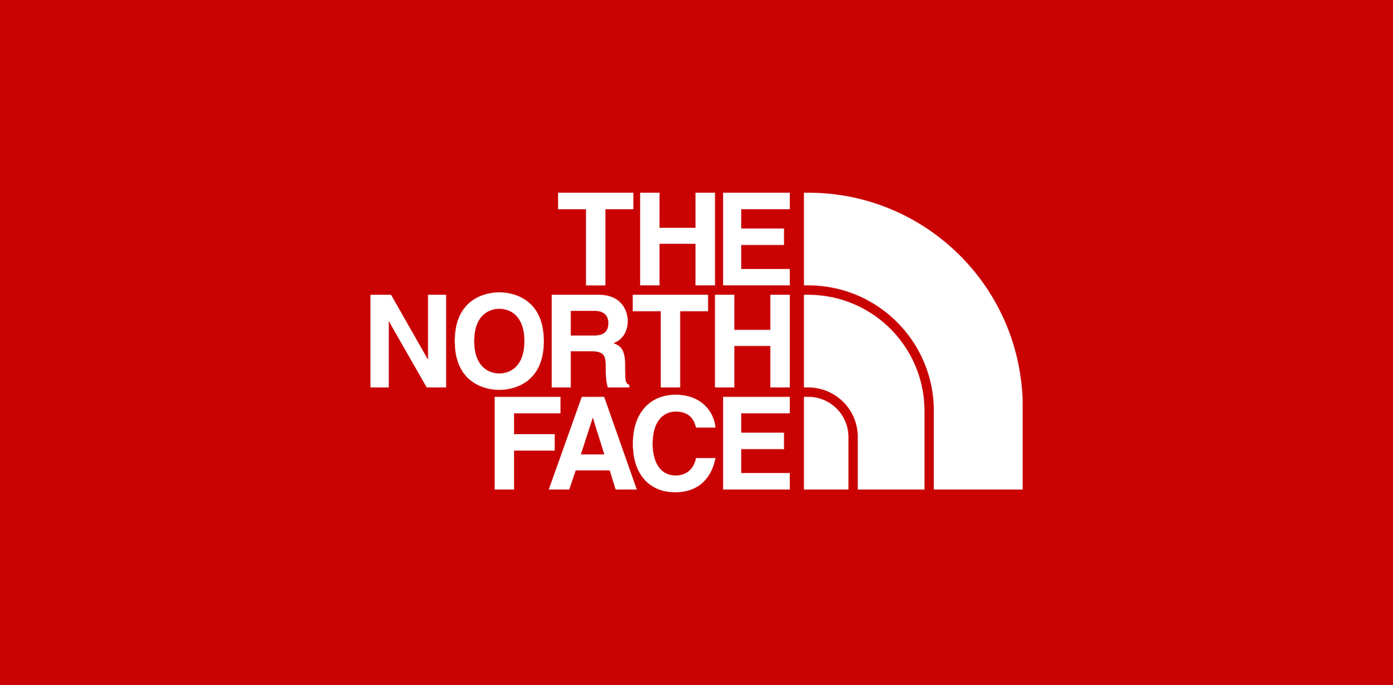 Картинка the north face